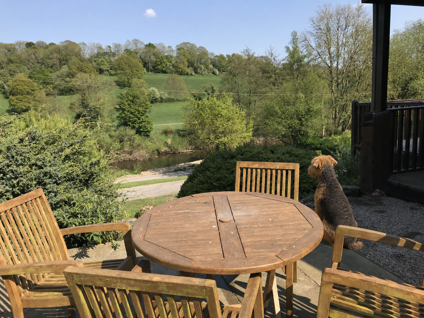 Dog looking out over the River Severn from dog friendly holiday accommodation in Highley, Shropshire